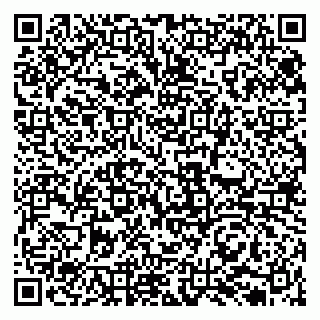 vCard 79131133765