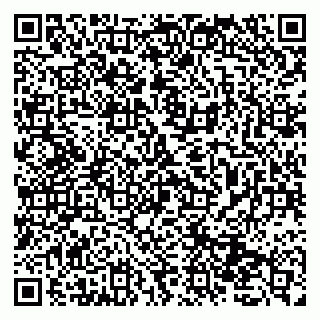 vCard 79131133859