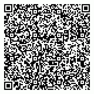 vCard 79131134002