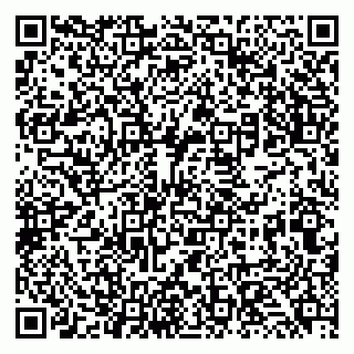 vCard 79131134817