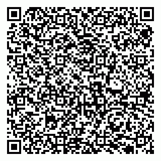 vCard 79131134875