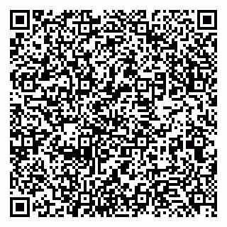 vCard 79131136331