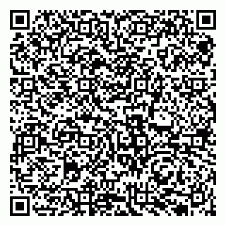 vCard 79131136801