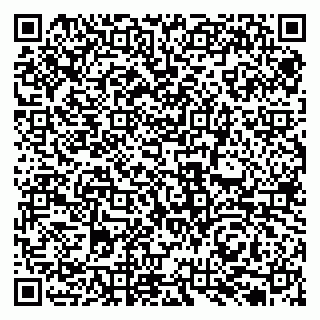 vCard 79131136875