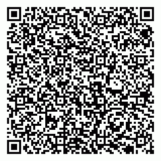 vCard 79131137294