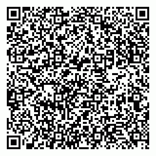 vCard 79131137331