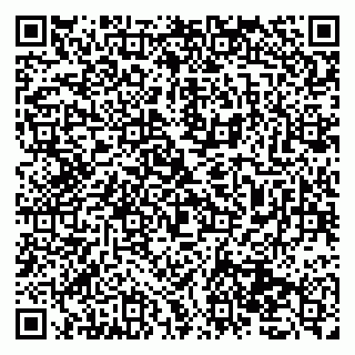 vCard 79131137402