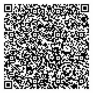 vCard 79131137726