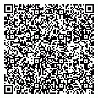 vCard 79131138017