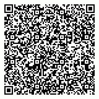 vCard 79131138121