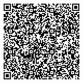 vCard 79131138245