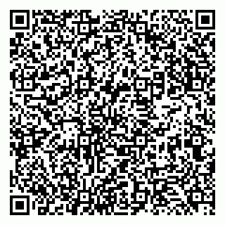 vCard 79131138294