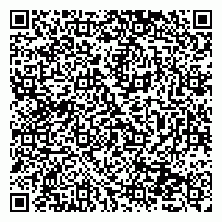 vCard 79131138881