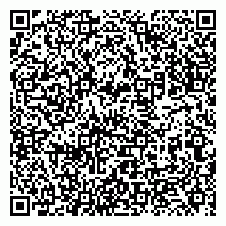 vCard 79131139199