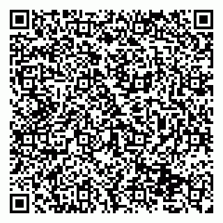 vCard 79131139331