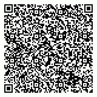 vCard 79131139384