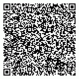 vCard 79131140230