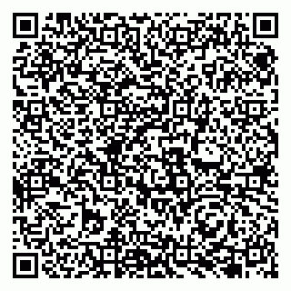 vCard 79131140294