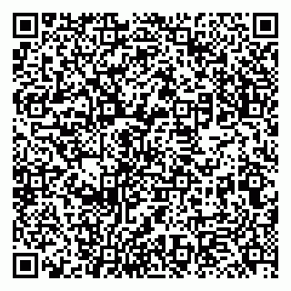 vCard 79131140331