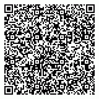 vCard 79131140514