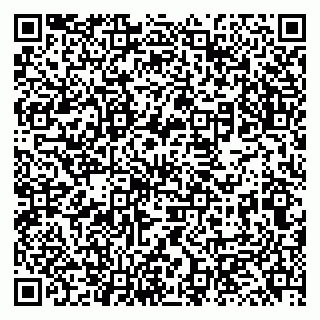 vCard 79131141007