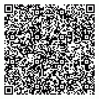 vCard 79131141069