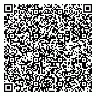 vCard 79131141091