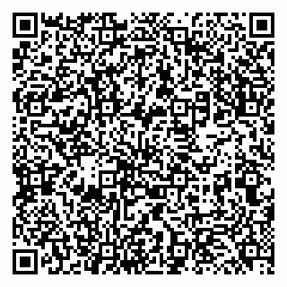 vCard 79131141237