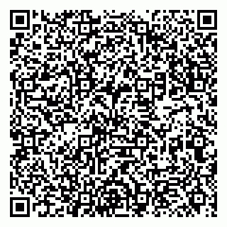 vCard 79131141358
