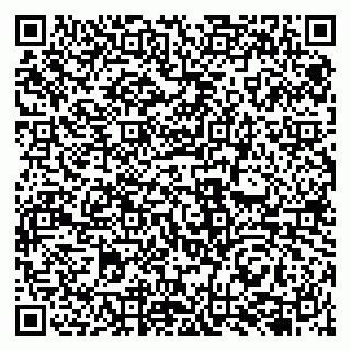 vCard 79131142001