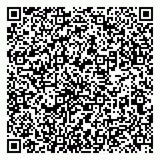 vCard 79131142002
