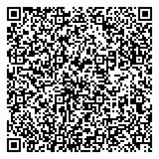 vCard 79131142003