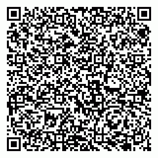 vCard 79131142004