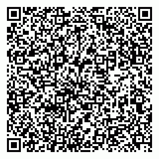 vCard 79131142018