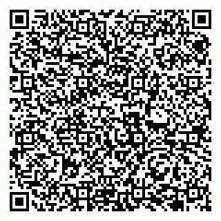 vCard 79131143074