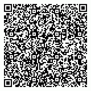 vCard 79131143294