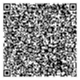 vCard 79131143401