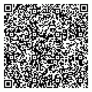 vCard 79131144303