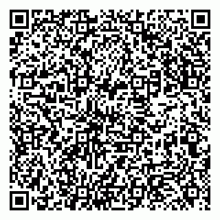 vCard 79131145274
