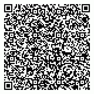 vCard 79131145294