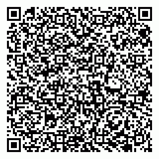 vCard 79131145321