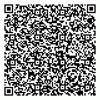 vCard 79131145331