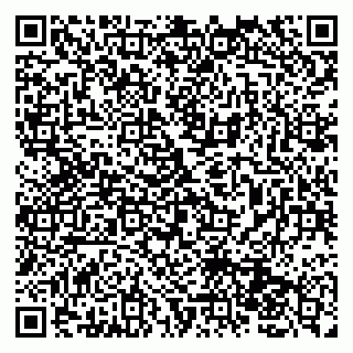 vCard 79131145809