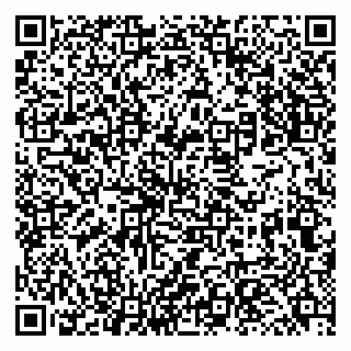 vCard 79131145877