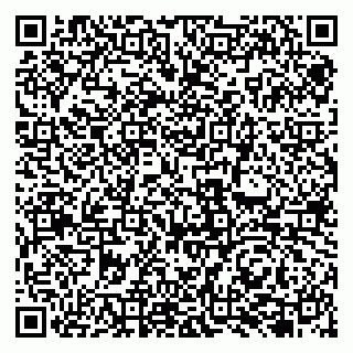 vCard 79131145895