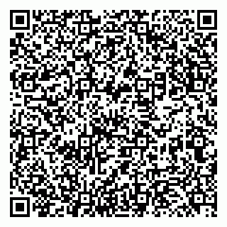 vCard 79131146294