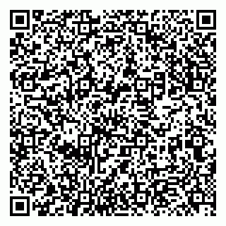 vCard 79131146331