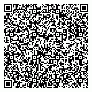 vCard 79131146863