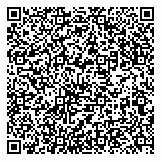 vCard 79131146877