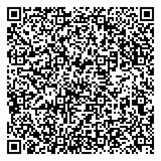 vCard 79131146879